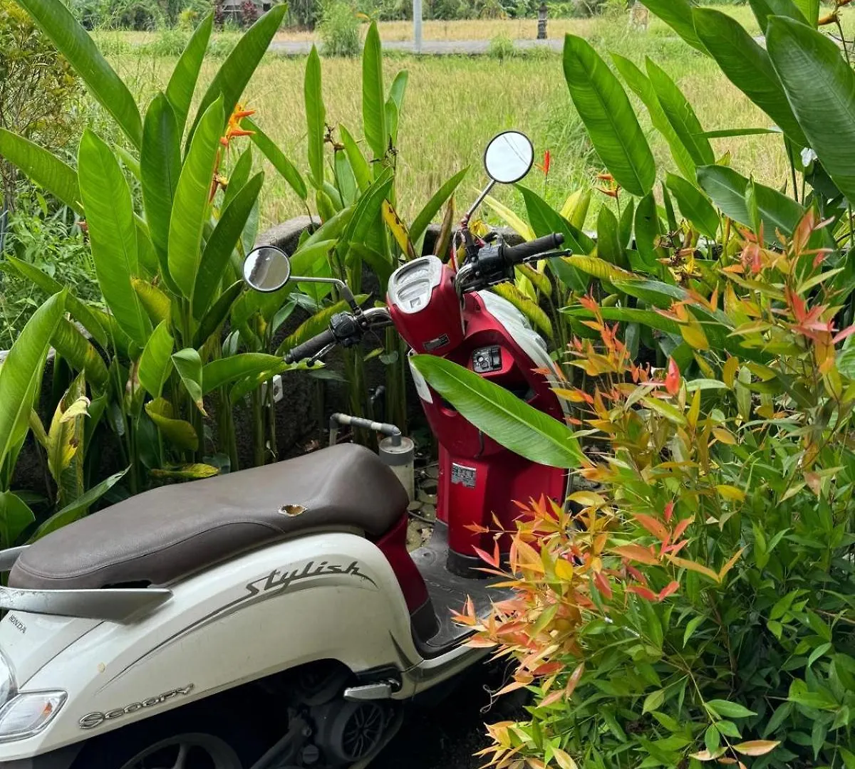 Mandala Rengganis Ubud View Private Villa By Eps Indonesia